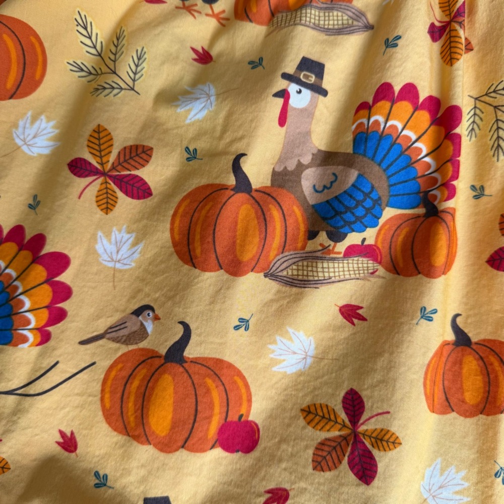 Eleanor Rose Girls Thanksgiving Turkey Pumpkin Ruffle Dress Blue Yellow Red Sz 8 - Picture 6 of 6